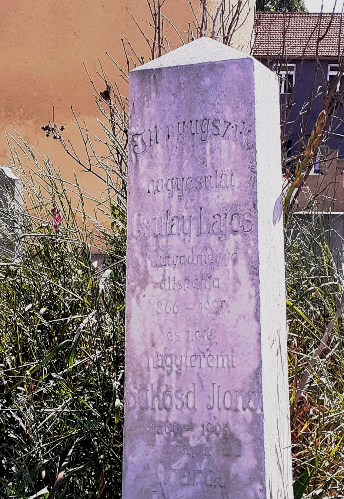 DAL 2