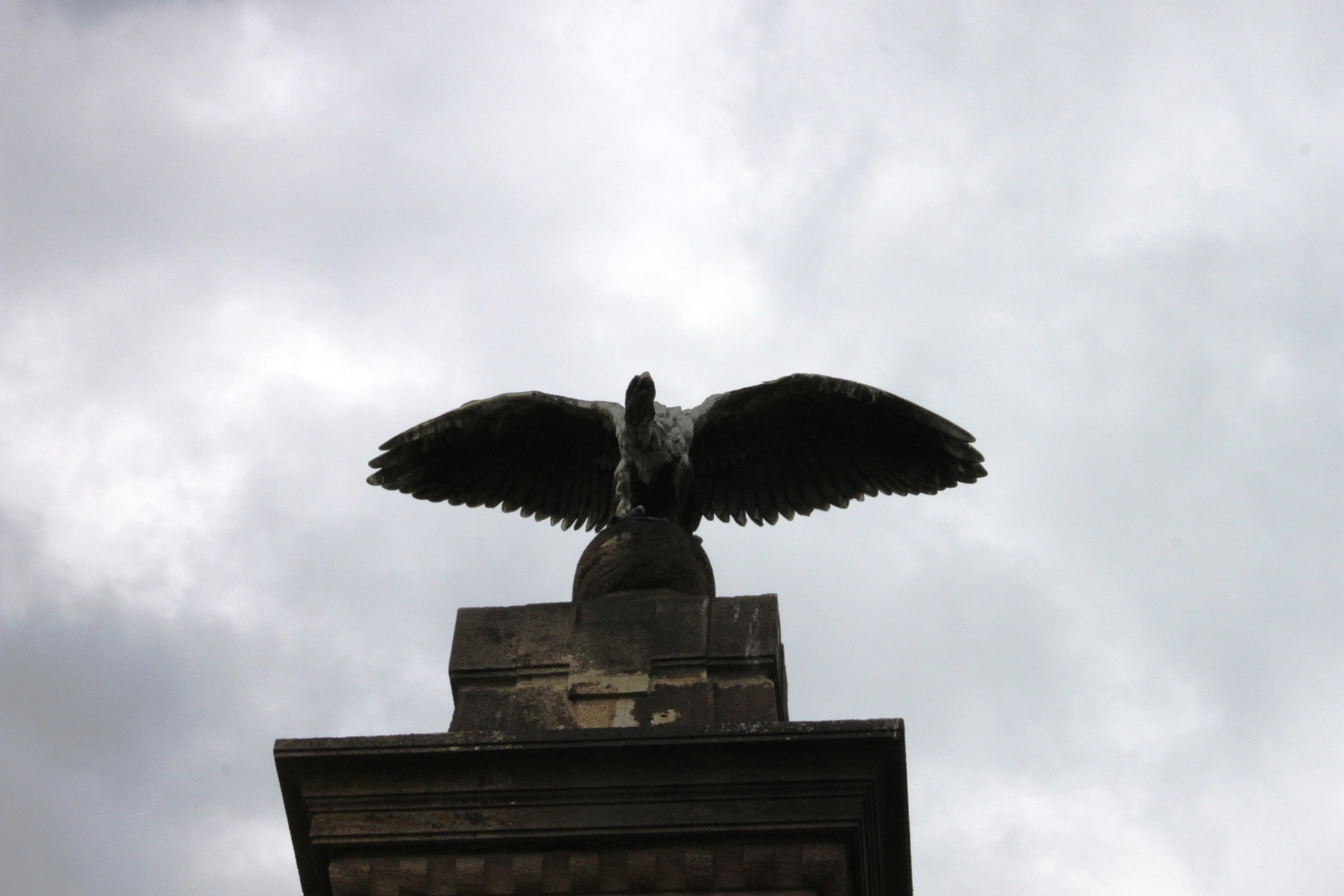 Feri bacsi fotoi 320